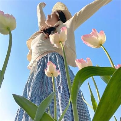 八角笼中