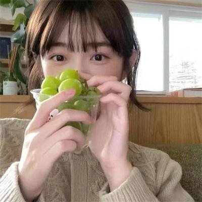 完美计划