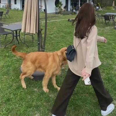 失踪的女中学生